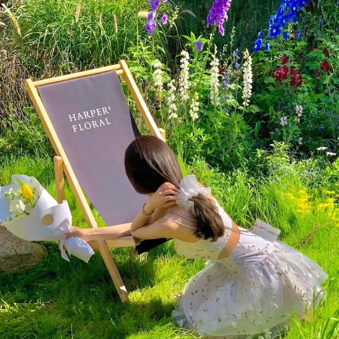 奇探佩辛丝第一季